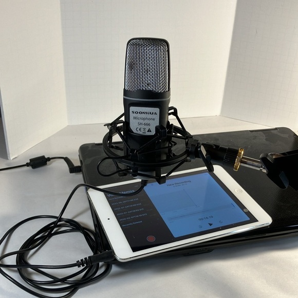 Condenser Microphone with Shock Mount and Adjustable Arm - Picture 4 of 7